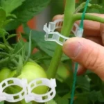 clips pour plante 100pcs
