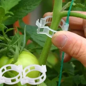 clips pour plante 100pcs