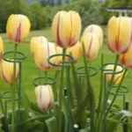 tuteurs pour plante 10pcs