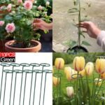 tuteurs pour plante 10pcs – Image 3