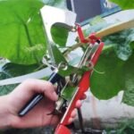 pince d'attache a ruban pour plante