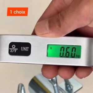 balance a main 50kg-gris-